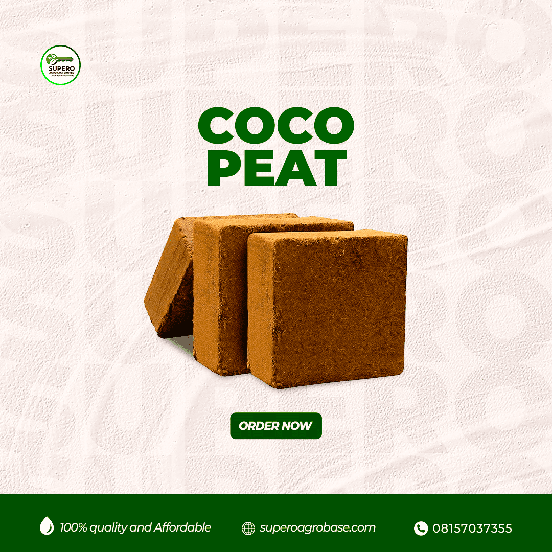 Cocopeat - Growing Media