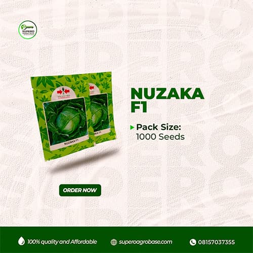 Nuzaka F1 - Seeds