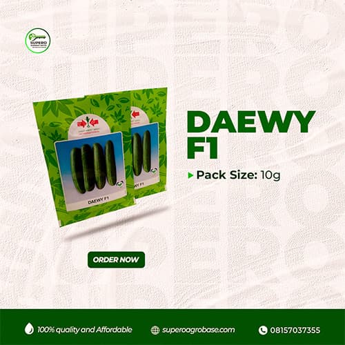 Daewy F1 - Seeds