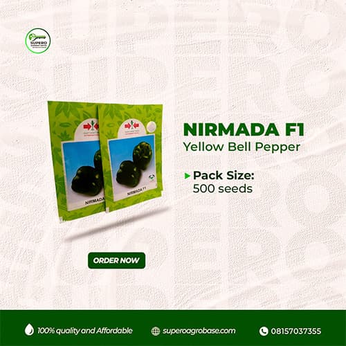 Nirmada F1 - Seeds