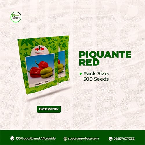 Piquante Red F1 - Seeds