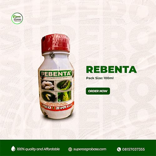 Rebenta - AgroChemical