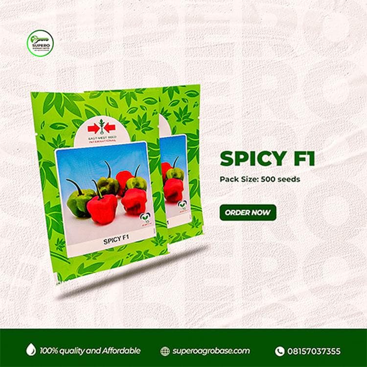 SpicyF1 - Seeds