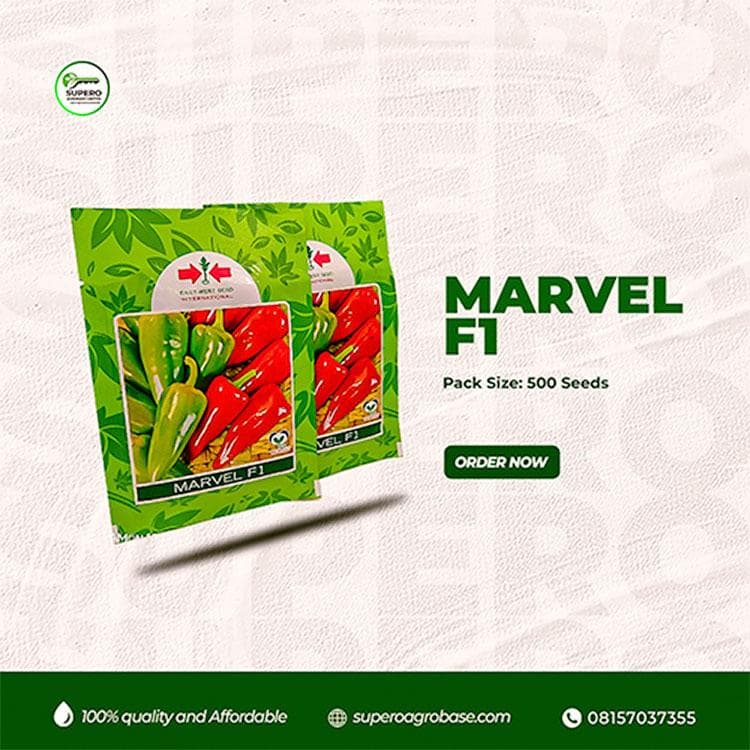 Marvel F1 - Seeds