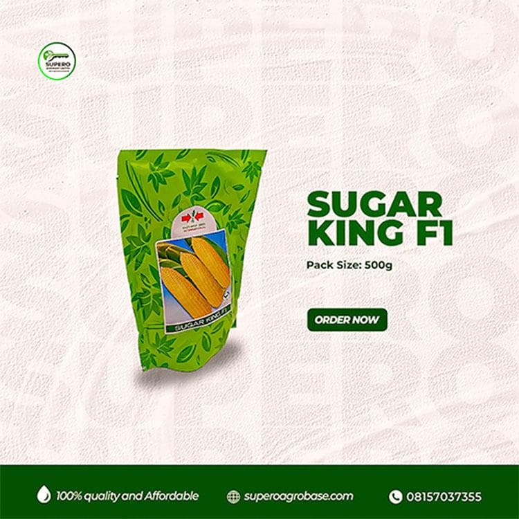 Sugar King F1 - Seeds