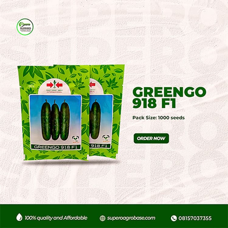 Greengo F1 - Seeds