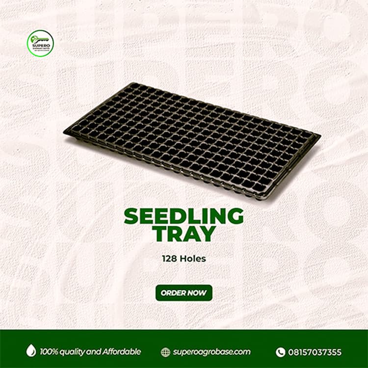 Seed Tray 128 cells - Growing Media