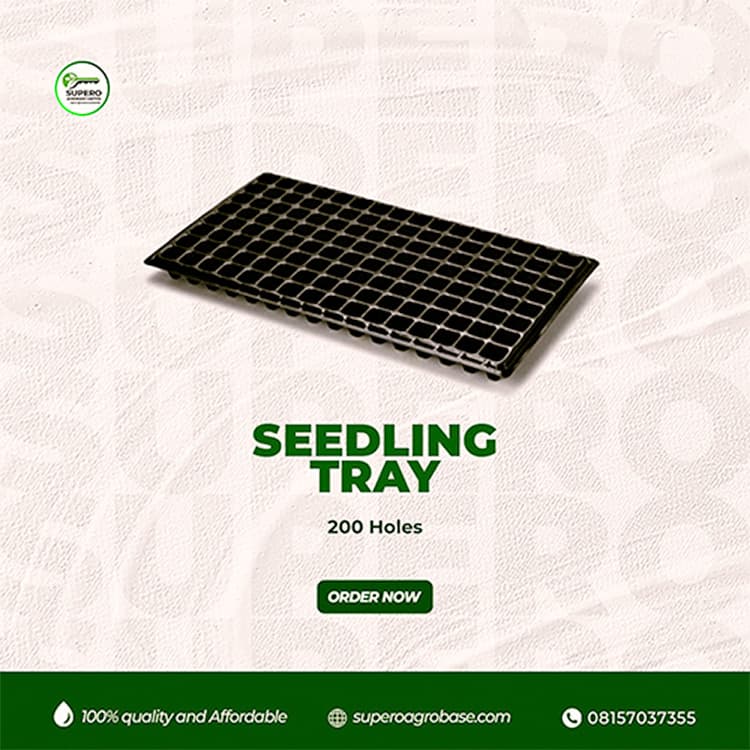Seed Tray 200 cells - Growing Media